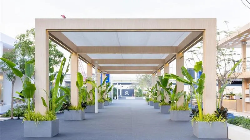 Eco-Friendly Benefits of Plant Rentals