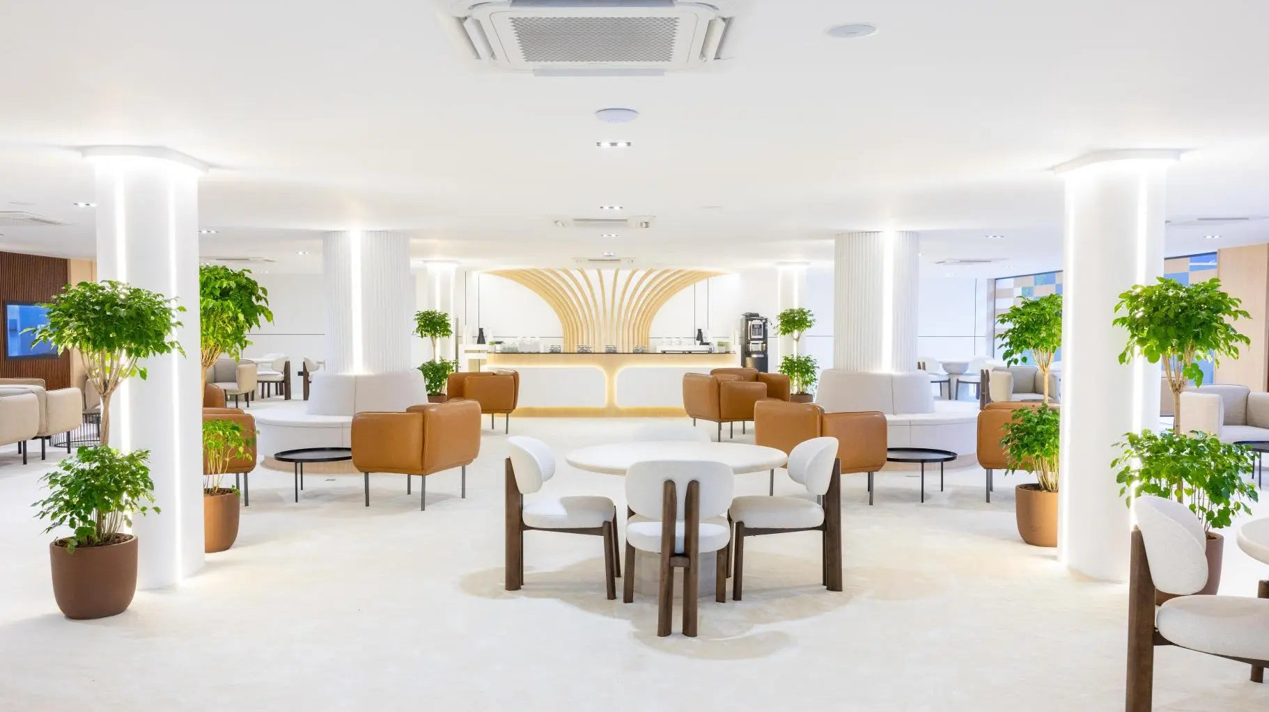 How to treat fungal infections