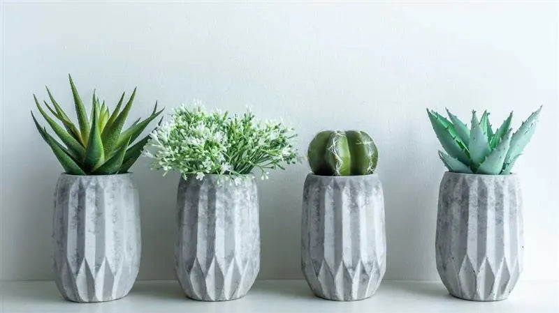 Planters and Pots for Outdoor