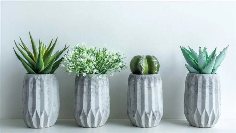 Planters and Pots for Outdoor
