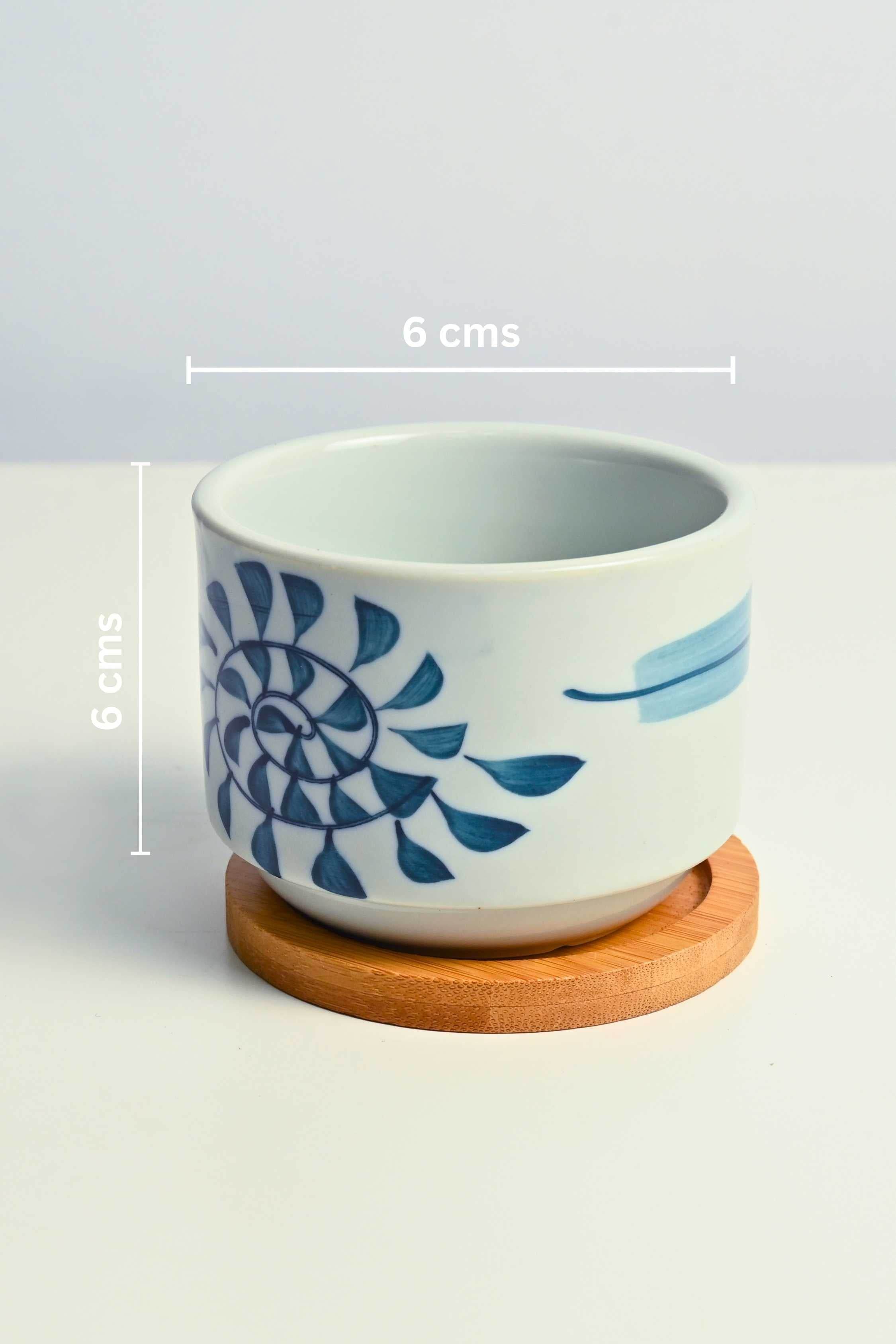 Ceramic Planters Cerulean Succulent Pot with Tray Cerulean Succulent Pot with Tray