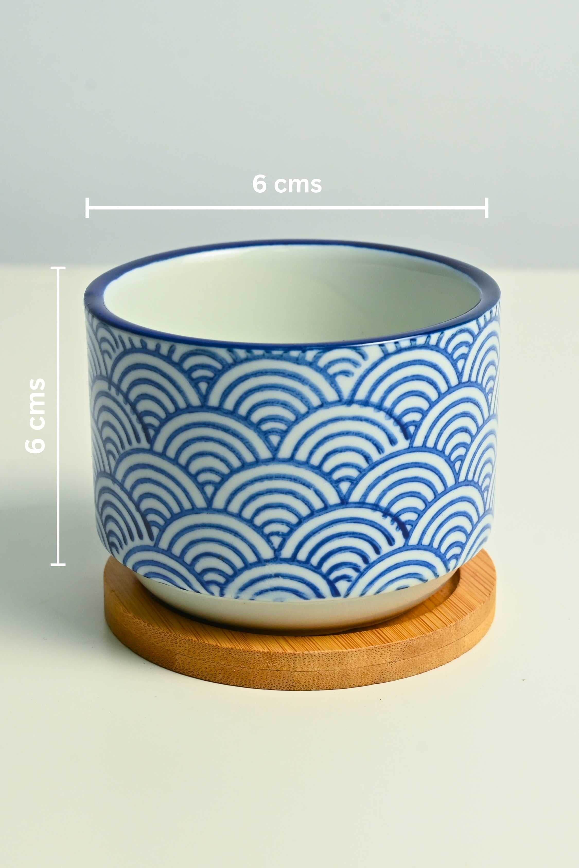 Ceramic Planters Cerulean Succulent Pot with Tray Cerulean Succulent Pot with Tray