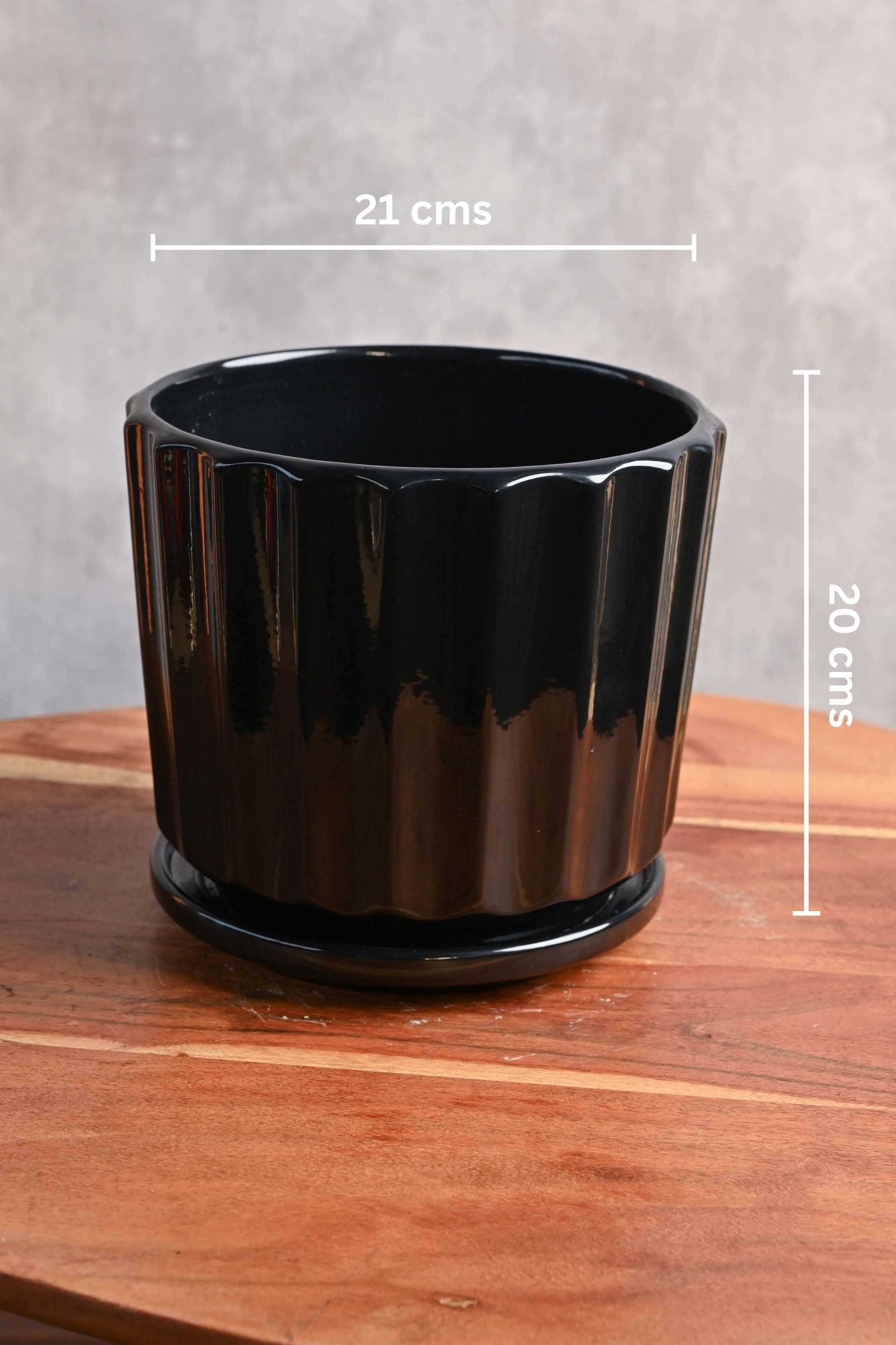 Ceramic Planters Large / Black Fluted Ceramic Planter with Plate Fluted Ceramic Planter with Plate