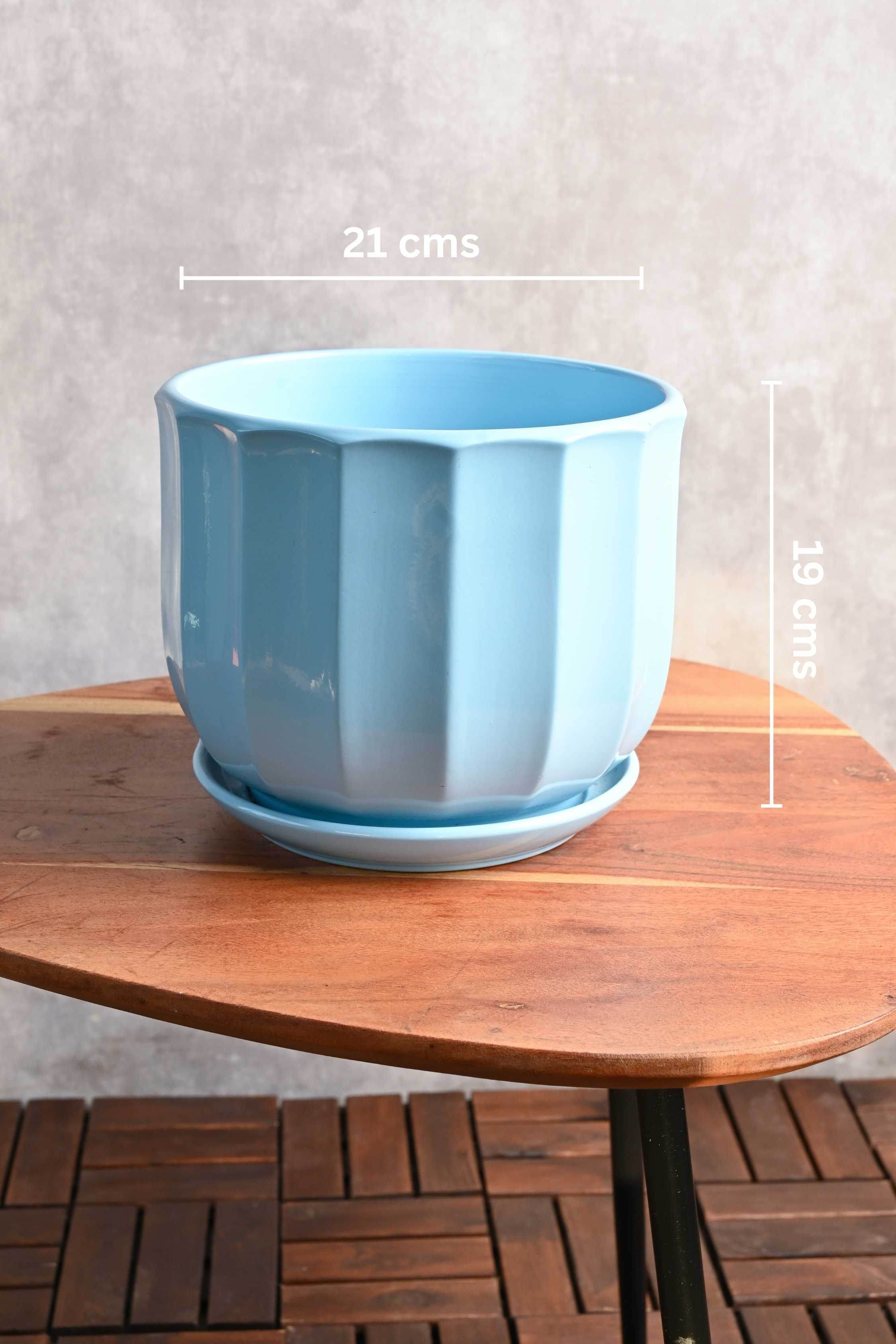 Ceramic Planters Large / Light Blue Fluted Ceramic Planter with Plate Fluted Ceramic Planter with Plate