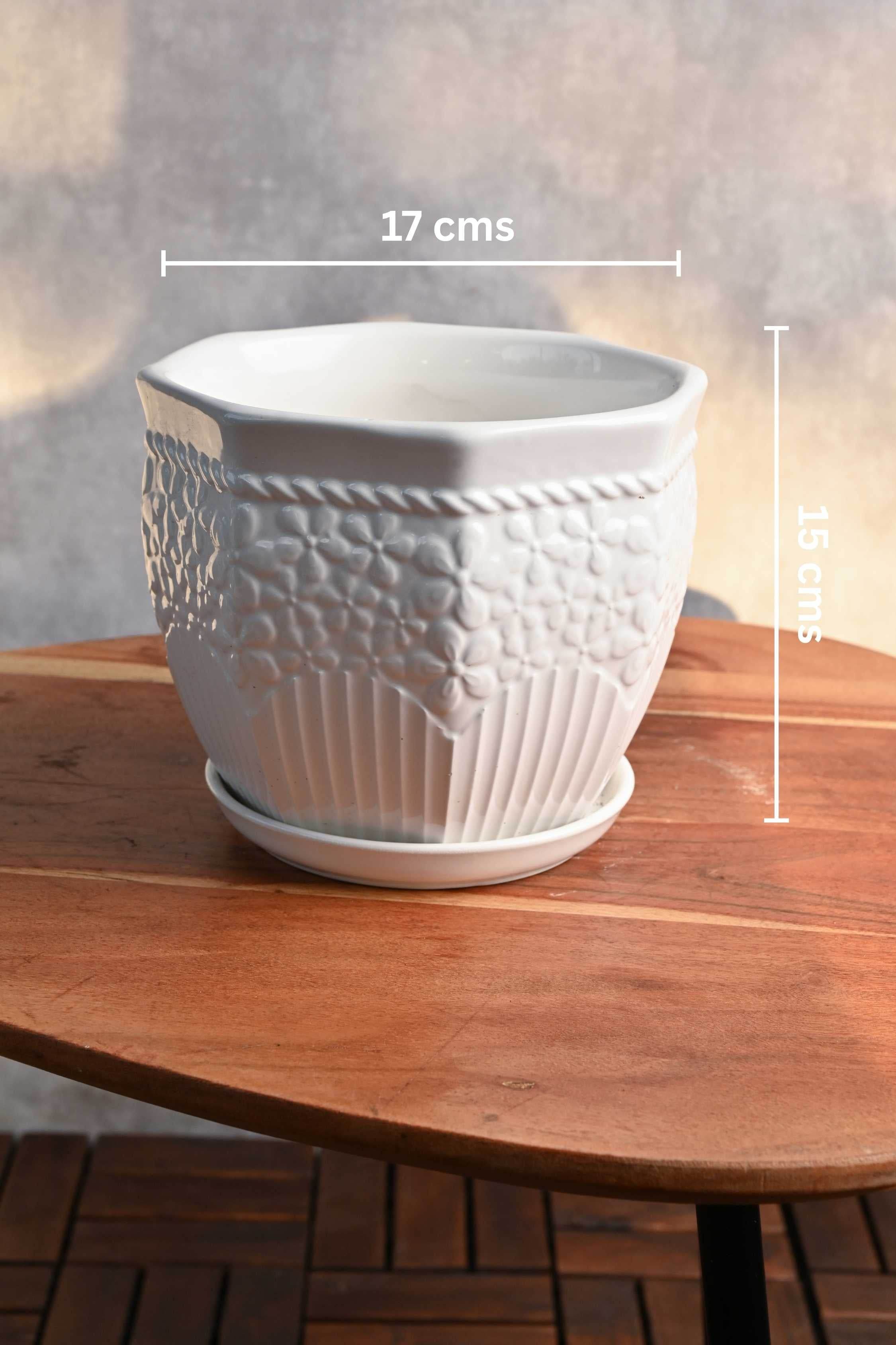 Ceramic Planters Large / White Floral Relief Tapered Ceramic Planter with Plate Tapered Ceramic Planter with Plate