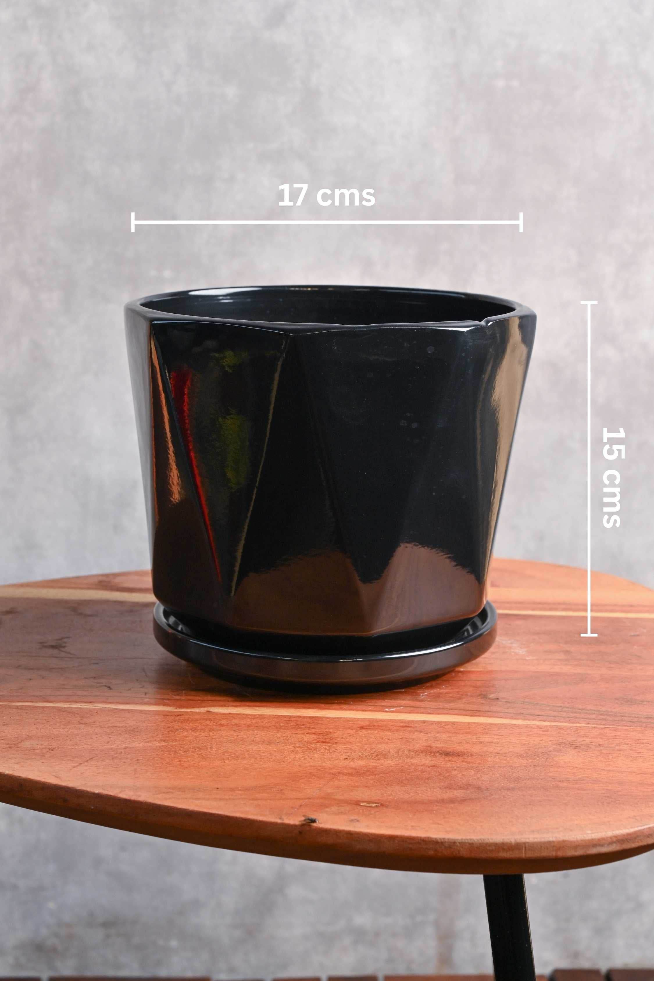 Ceramic Planters Medium / Black Faceted Ceramic Planter with Plate Faceted Ceramic Planter with Plate