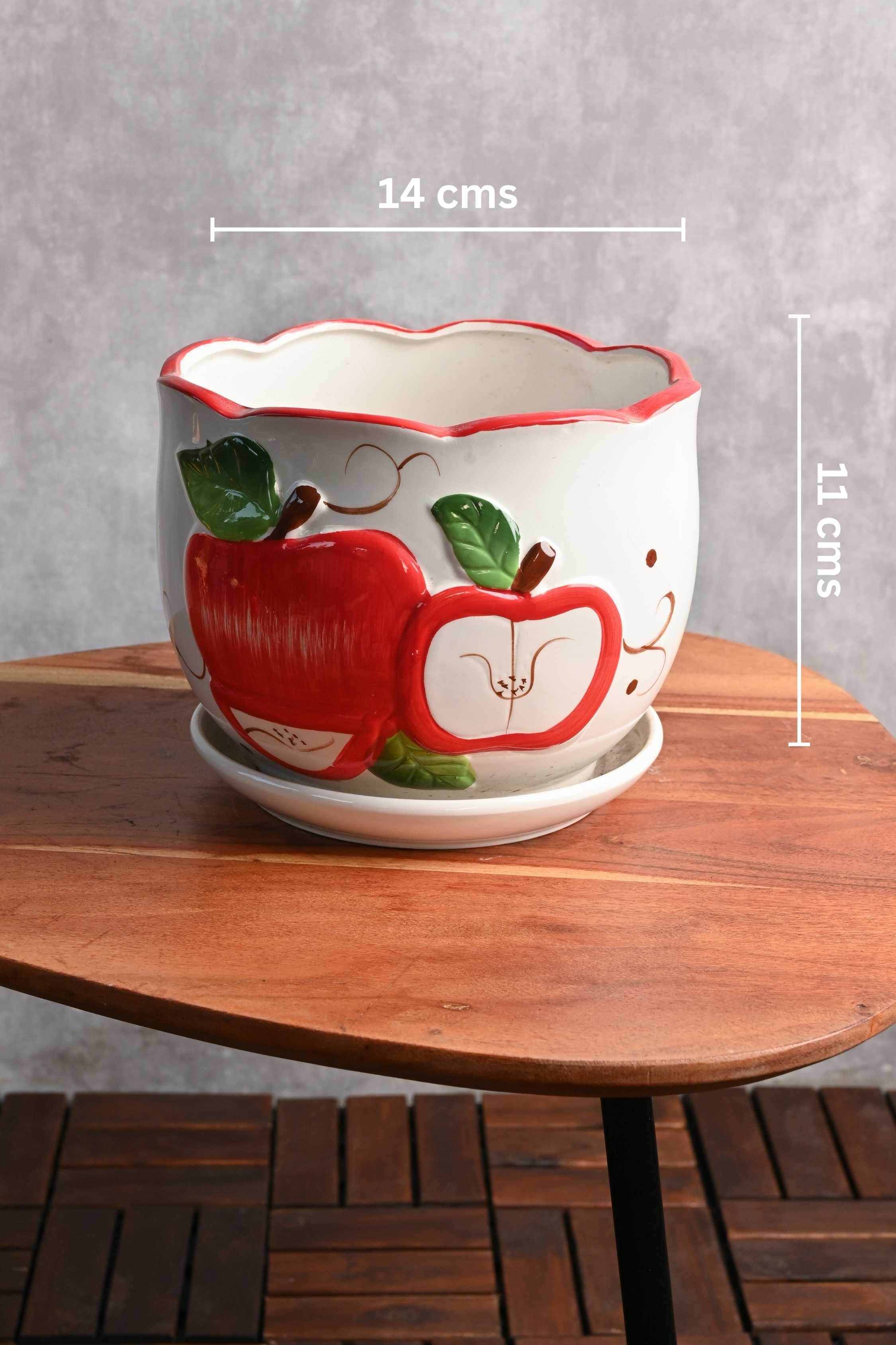 Ceramic Planters Small / Apple Design Tapered Ceramic Planter with Plate Tapered Ceramic Planter with Plate