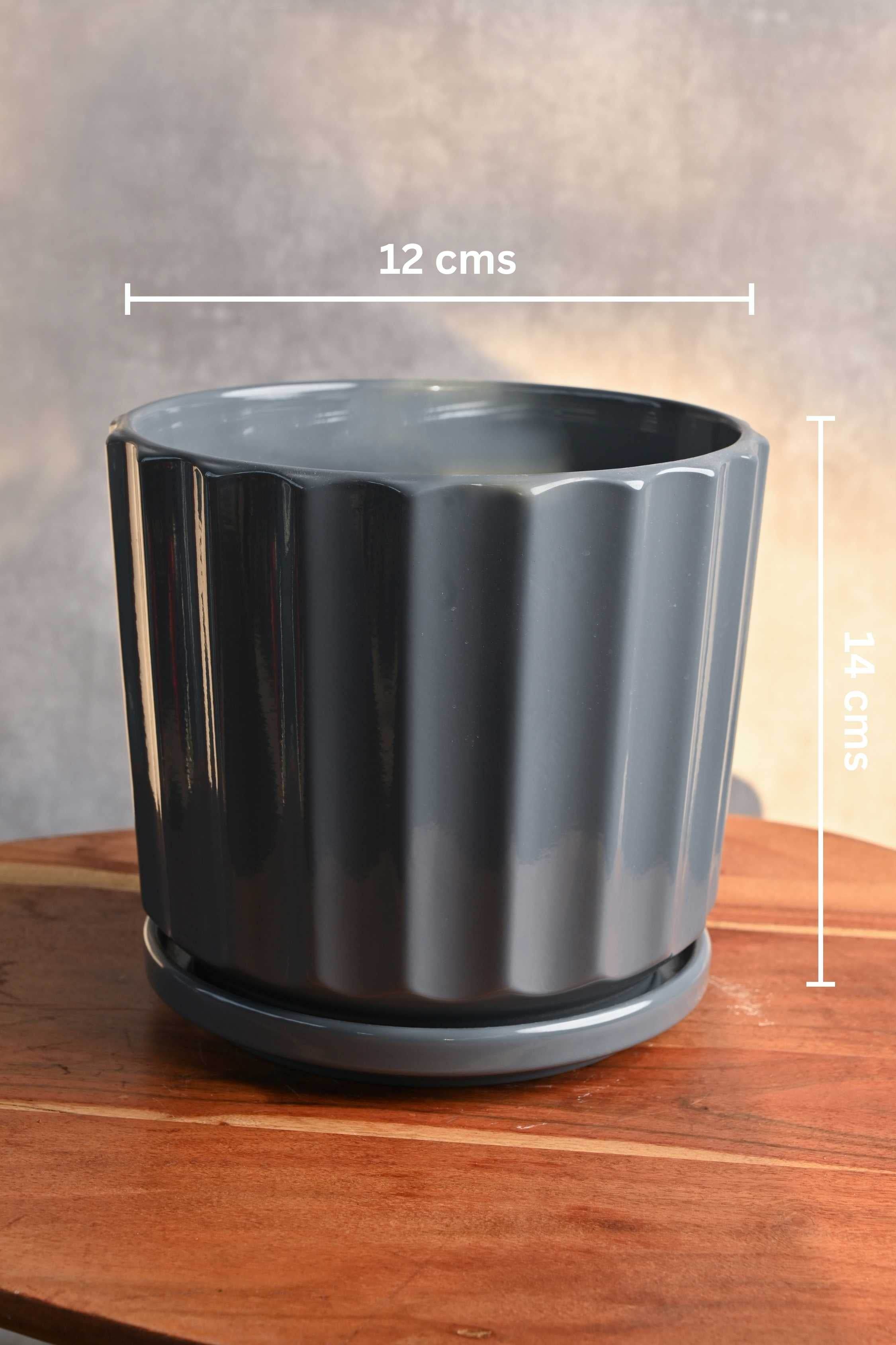 Ceramic Planters Small / Grey Fluted Ceramic Planter with Plate Fluted Ceramic Planter with Plate