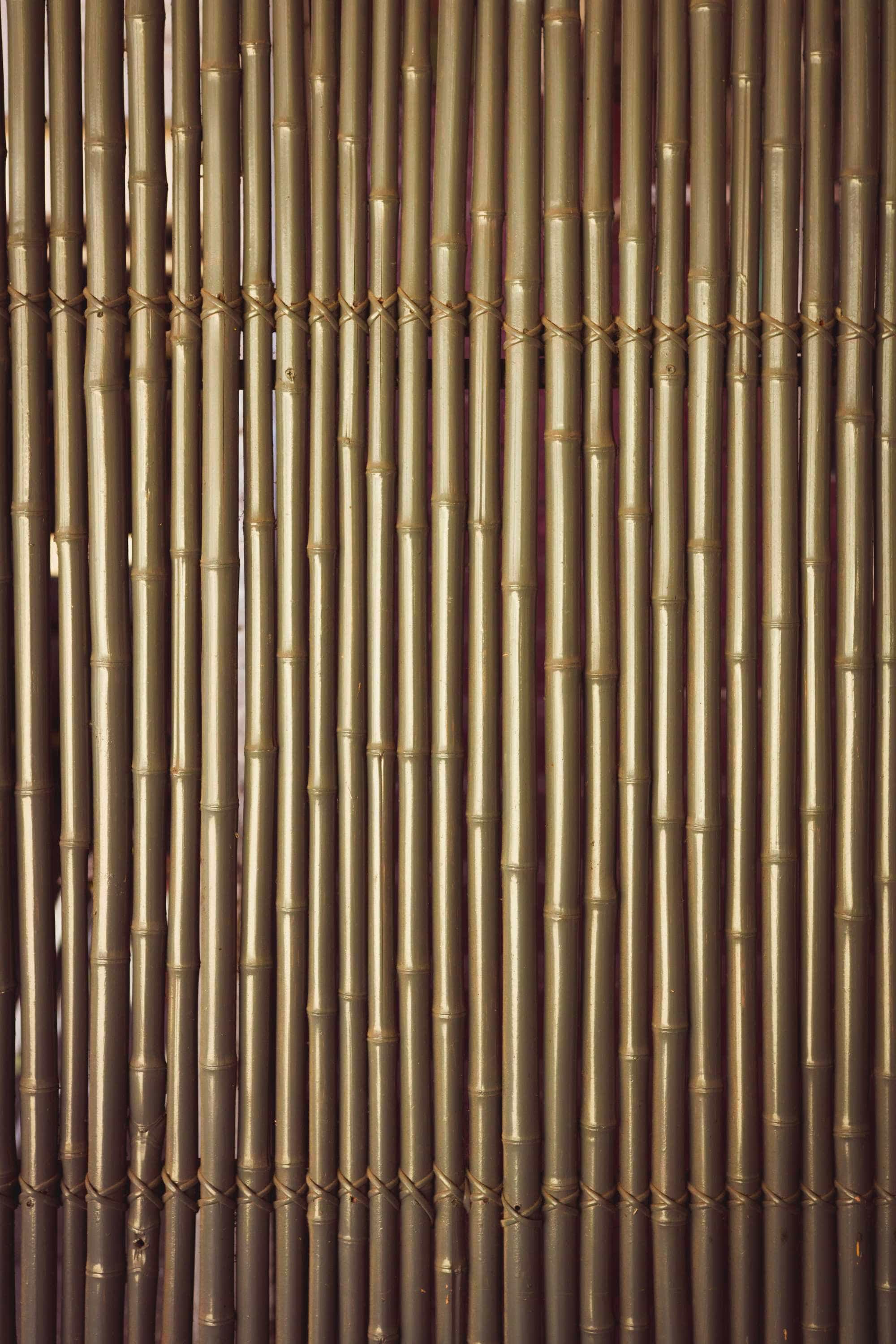 Indoor Plant Bamboo Trellis Bamboo Trellis
