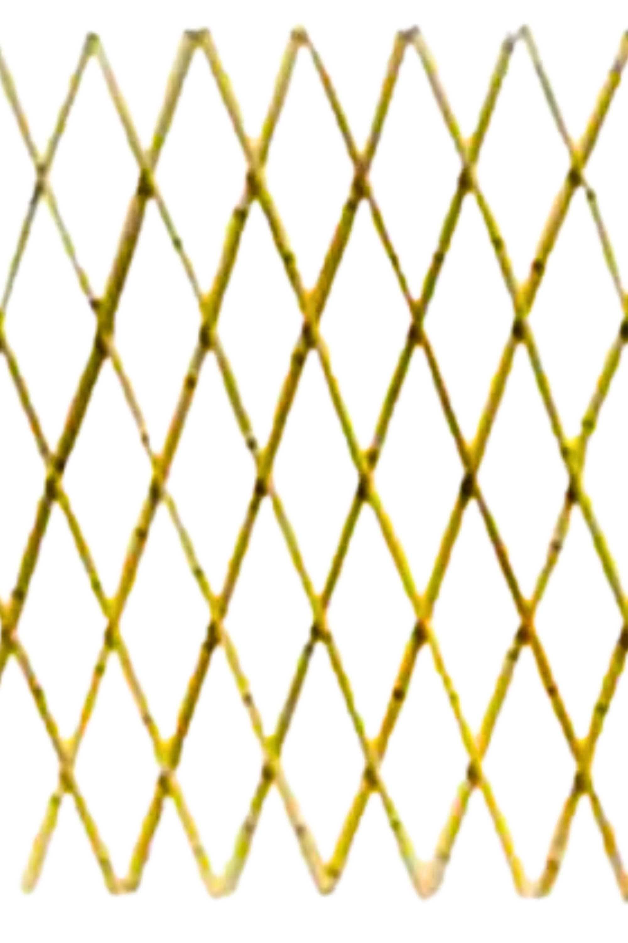 Indoor Plant Bamboo Trellis Bamboo Trellis