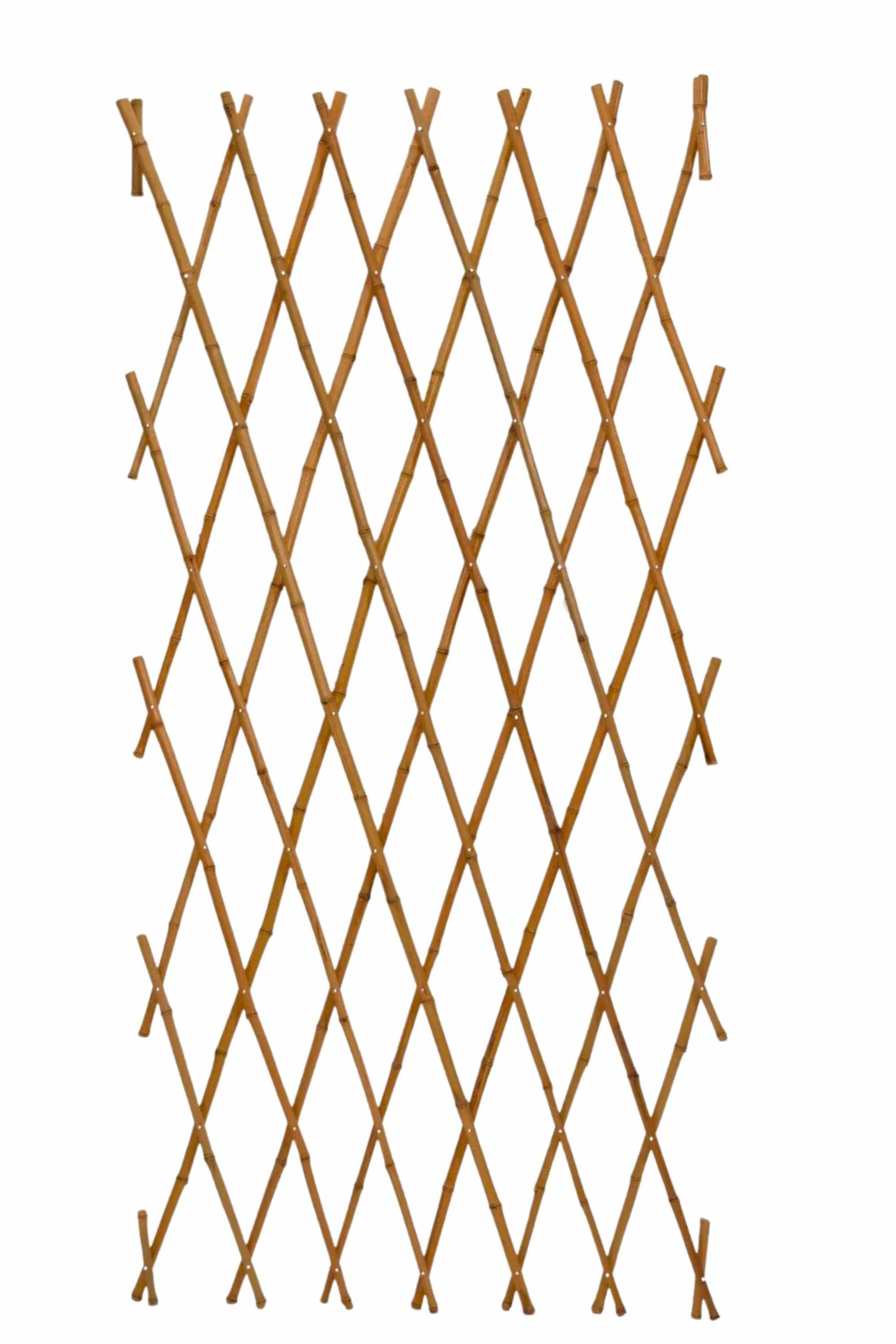 Indoor Plant Height 90 x 90 cms Bamboo Trellis Bamboo Trellis