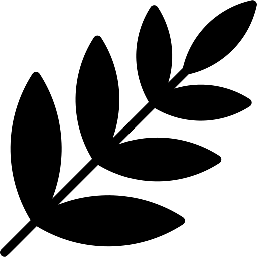 Feature icon