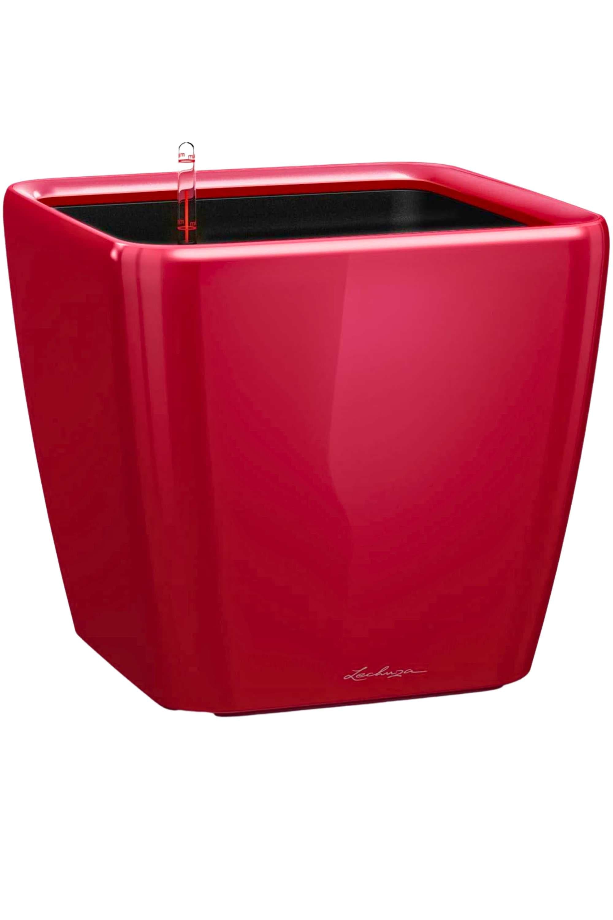 Planters Small 21x21x20cms / Red Lechuza Quadro Premium Lechuza Quadro Premium