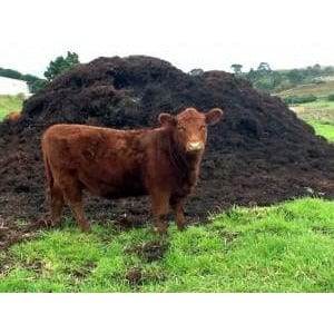 Soil & Mixes 20 L Samad - Cow Soil Samad - Cow Soil