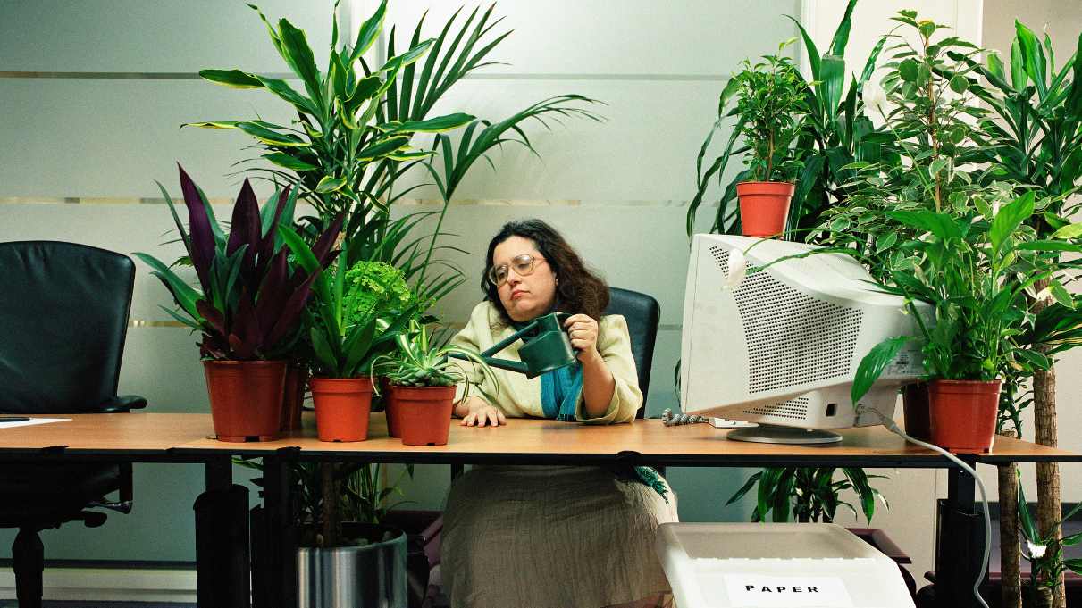 How to Prevent Overwatering in office plants 
