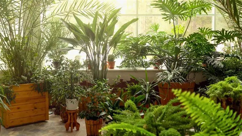 Indoor Gardening Tips and Tricks