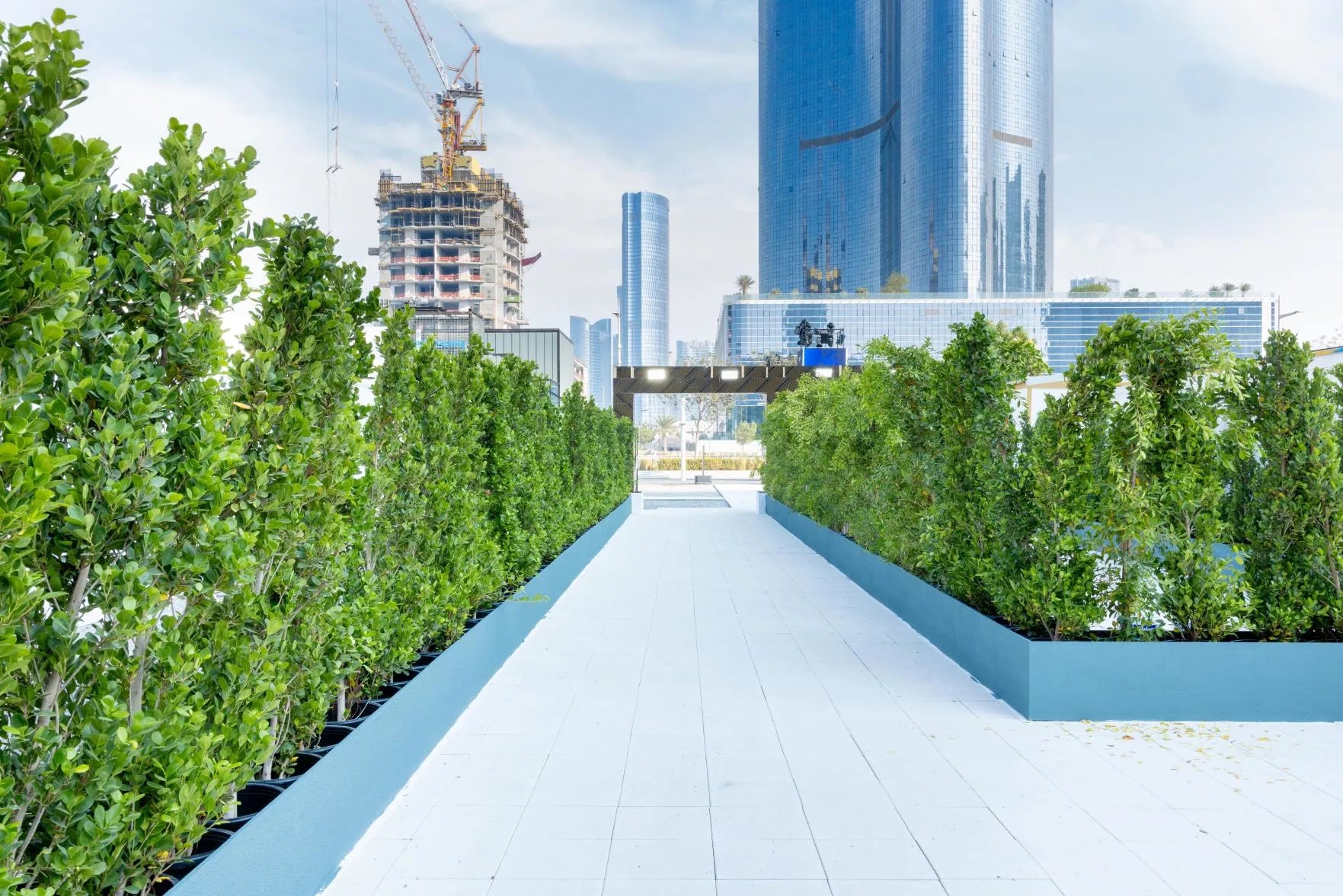 Mistakes to Avoid in Indoor Gardening 