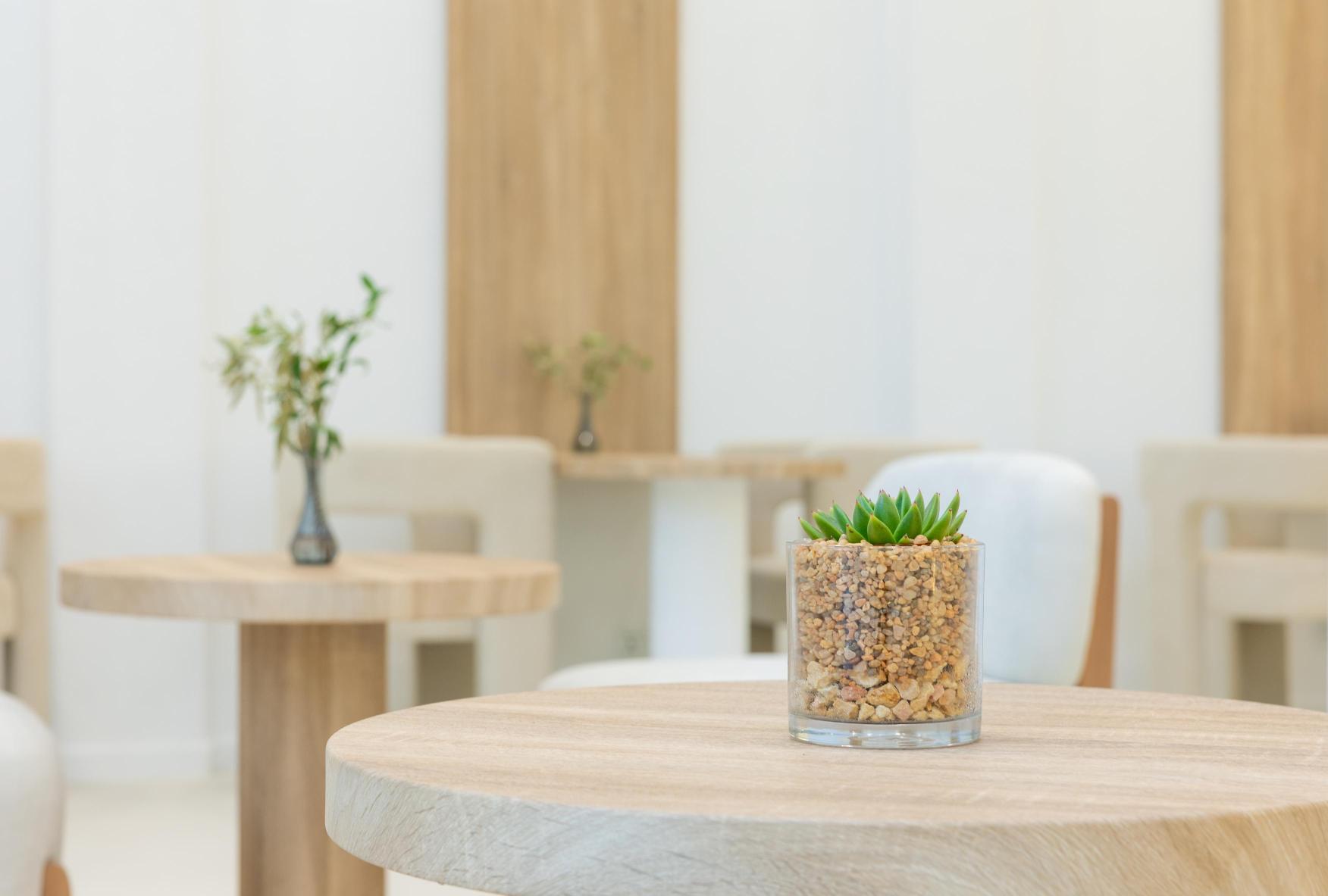 how to choose a plant rental company