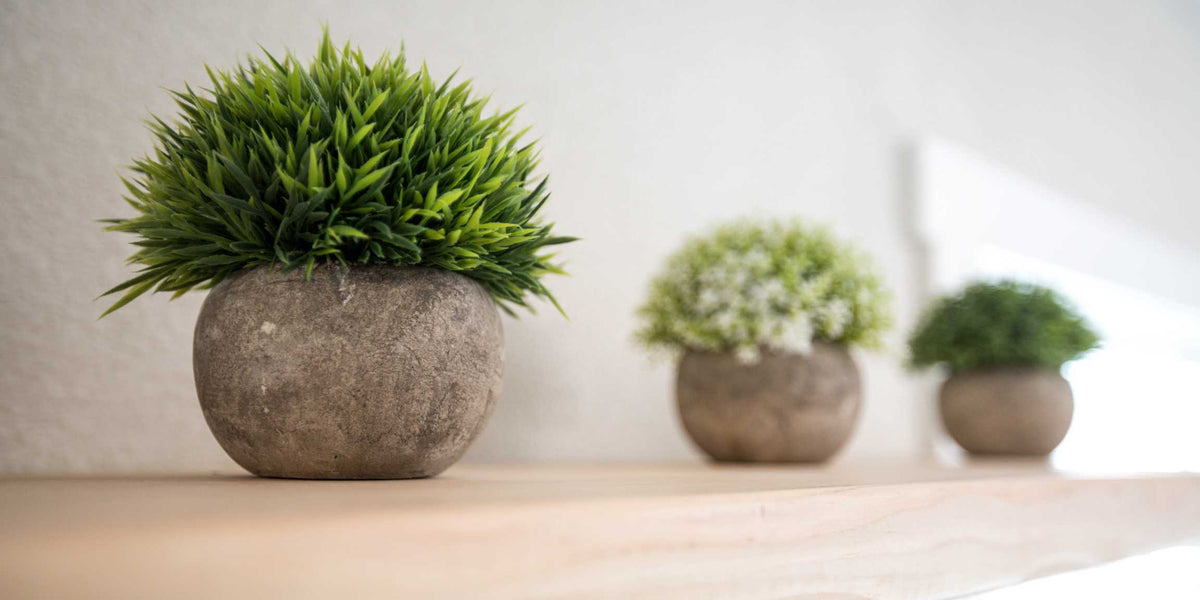 Buy Faux Plants Online Dubai, UAE | Adplants