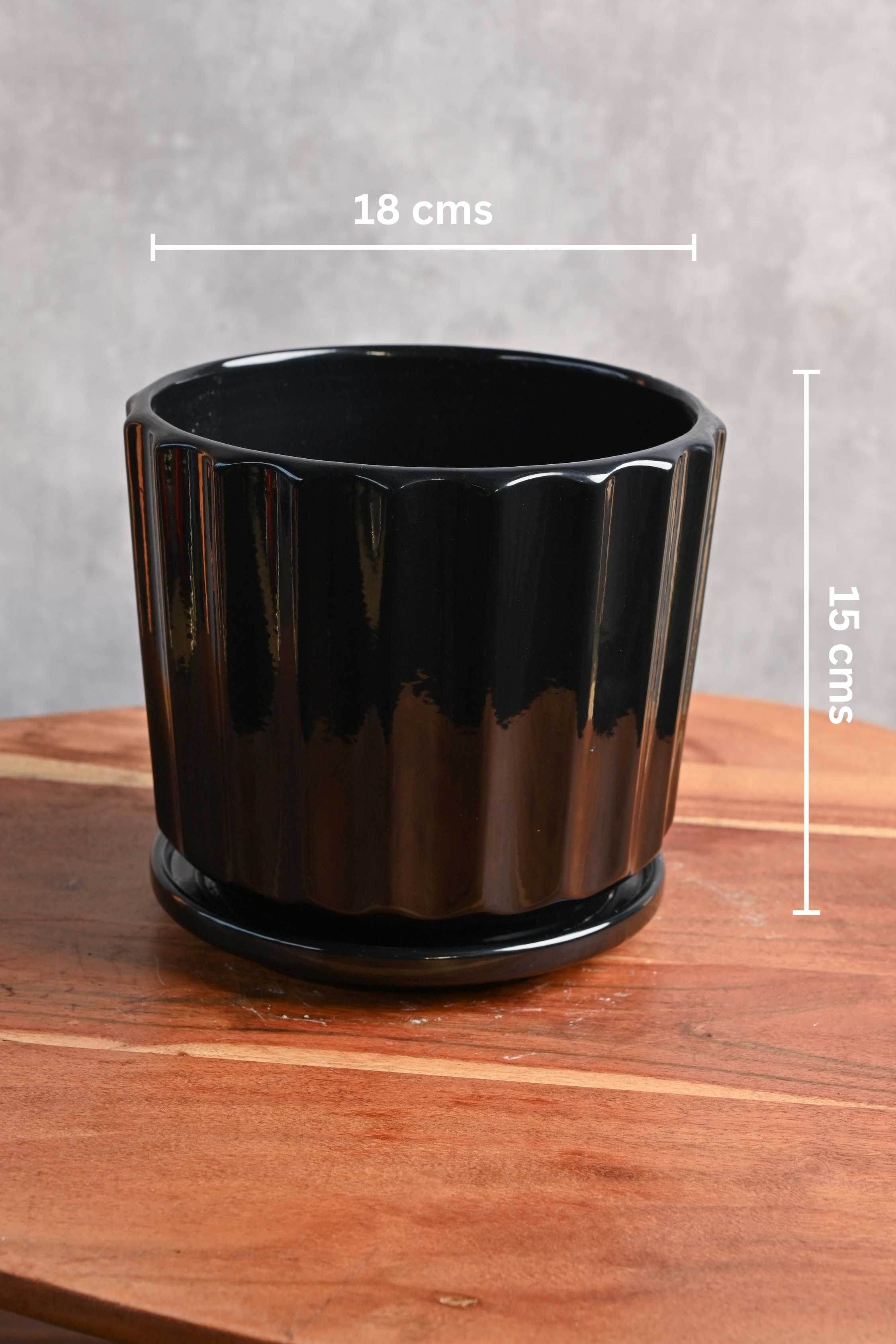Ceramic Planters Medium / Black Fluted Ceramic Planter with Plate Fluted Ceramic Planter with Plate
