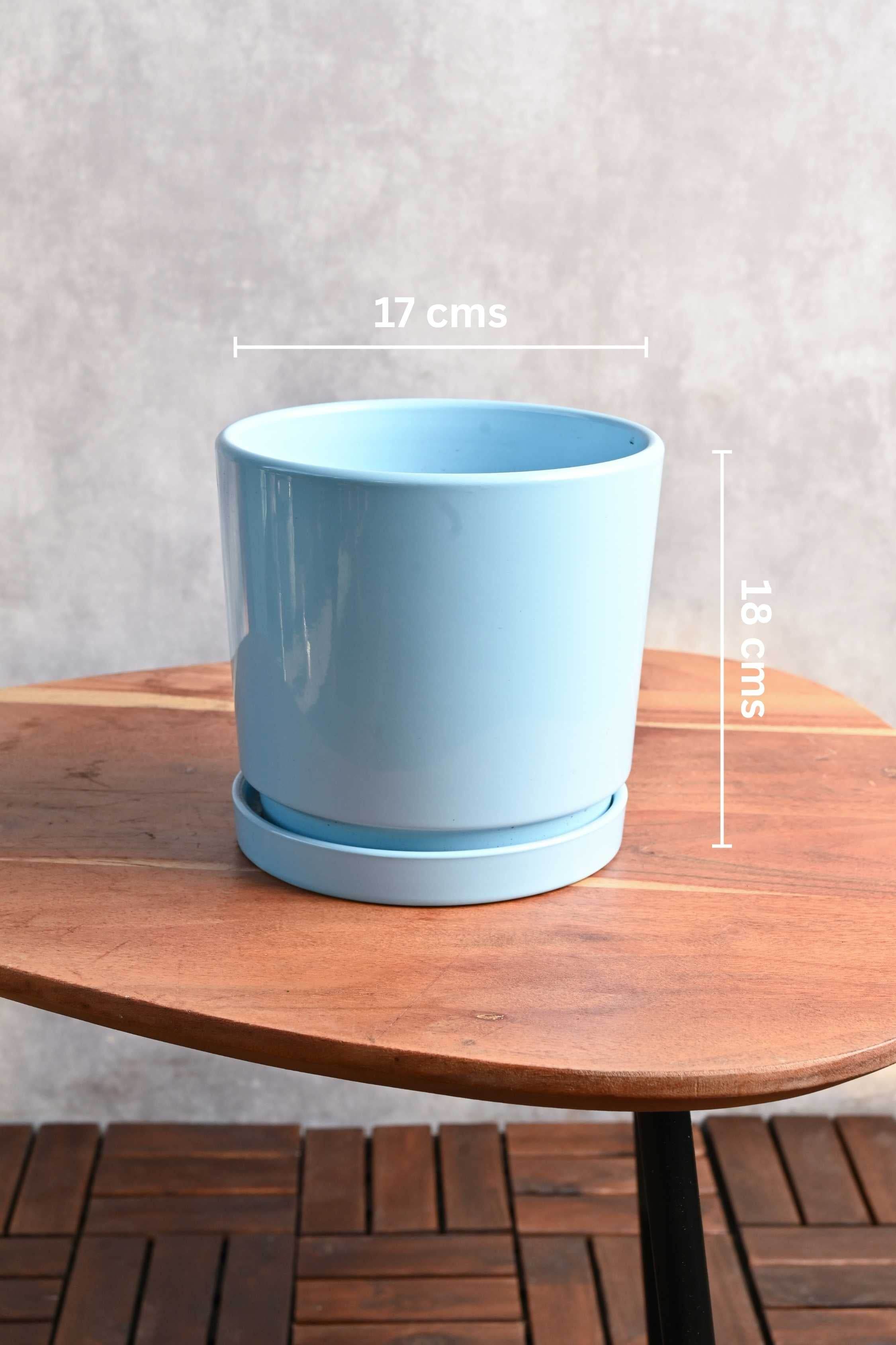 Ceramic Planters Medium Gentle Conical Ceramic Planter with Plate Gentle Conical Ceramic Planter with Plate