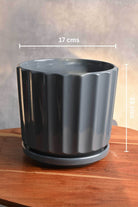 Ceramic Planters Medium / Grey Fluted Ceramic Planter with Plate Fluted Ceramic Planter with Plate