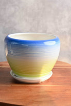 Ceramic Planters Round Ceramic Planter with Plate Round Ceramic Planter with Plate