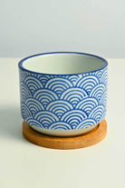 Ceramic Planters Seigaiha Wrap Cerulean Succulent Pot with Tray Cerulean Succulent Pot with Tray