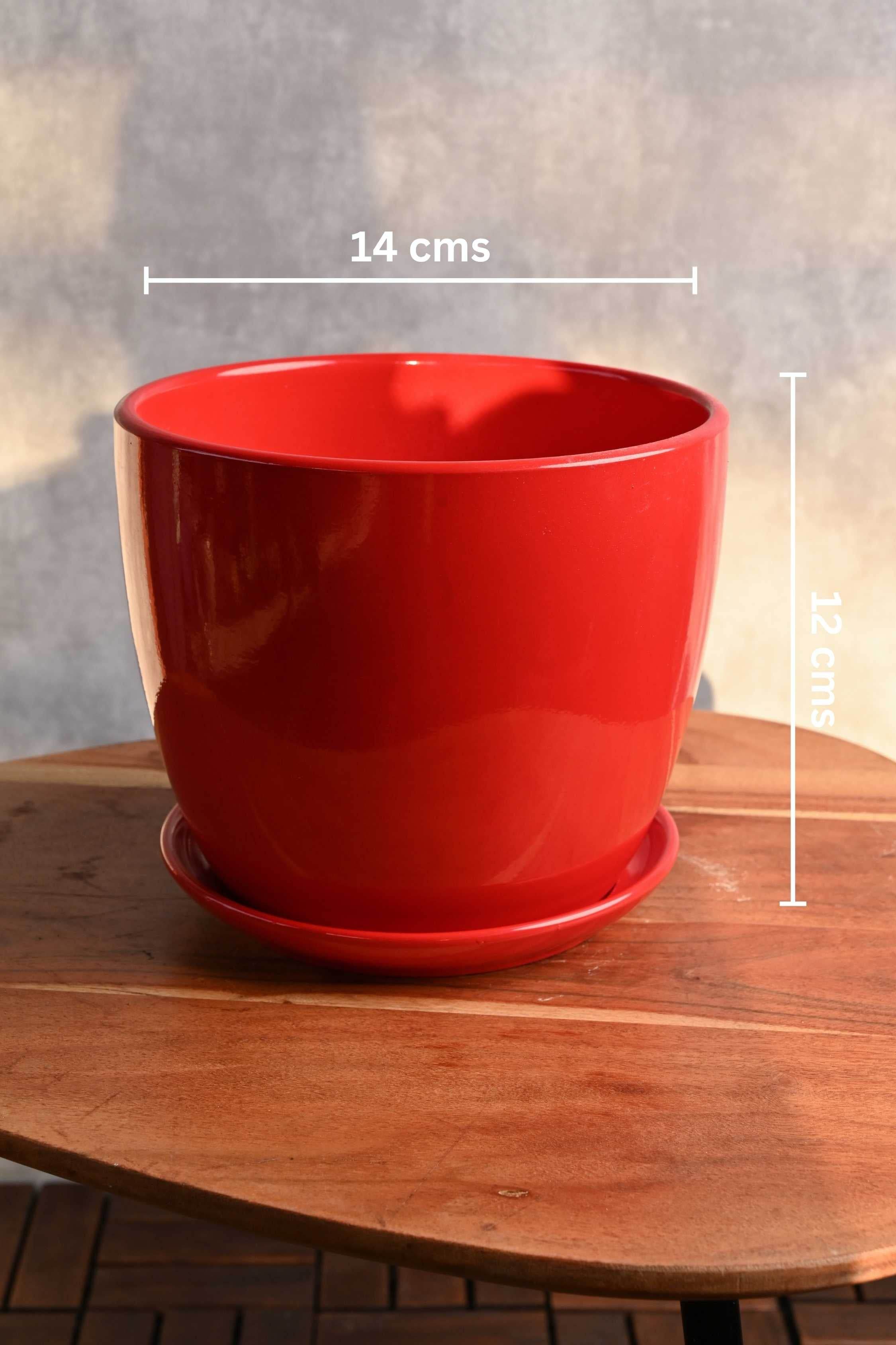 Ceramic Planters Small Rounded Tapered Ceramic Planter with Plate Rounded Tapered Ceramic Planter with Plate