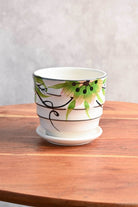 Ceramic Planters Tapered Ceramic Planter with Plate Tapered Ceramic Planter with Plate