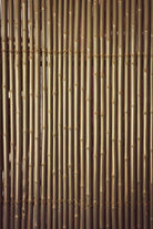 Indoor Plant Bamboo Trellis Bamboo Trellis
