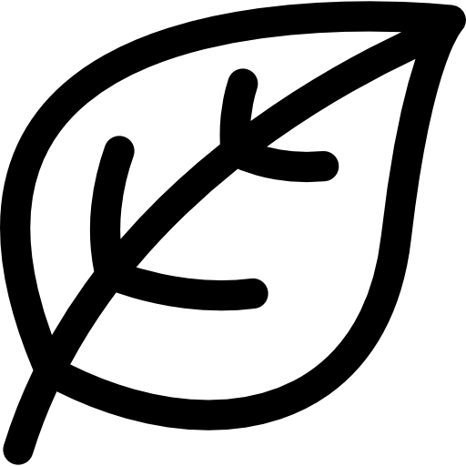 Feature icon