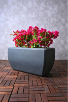 Outdoor Plant Large Bougainvillea in Rectangular Planter Bougainvillea in Rectangular Planter