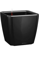 Planters Small 21x21x20cms / Black Lechuza Quadro Premium Lechuza Quadro Premium