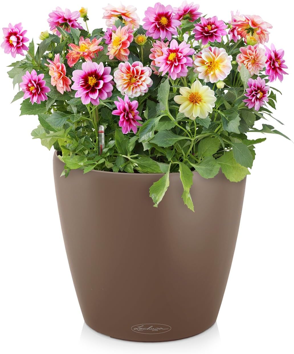 Plastic Planters Lechuza Classico Premium Lechuza Classico Premium