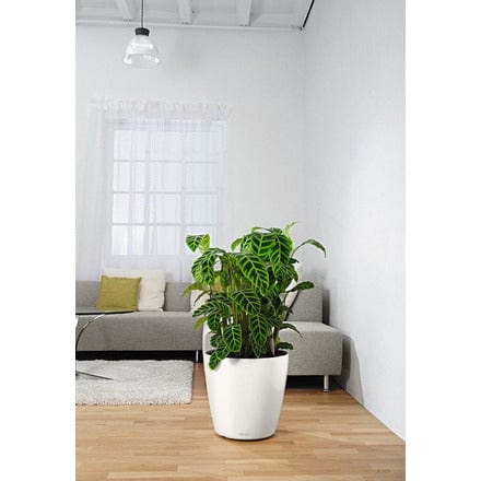 Plastic Planters Lechuza Classico Premium Lechuza Classico Premium