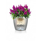 Plastic Planters Lechuza Classico Premium Lechuza Classico Premium
