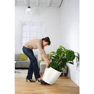 Plastic Planters Lechuza Classico Premium Lechuza Classico Premium